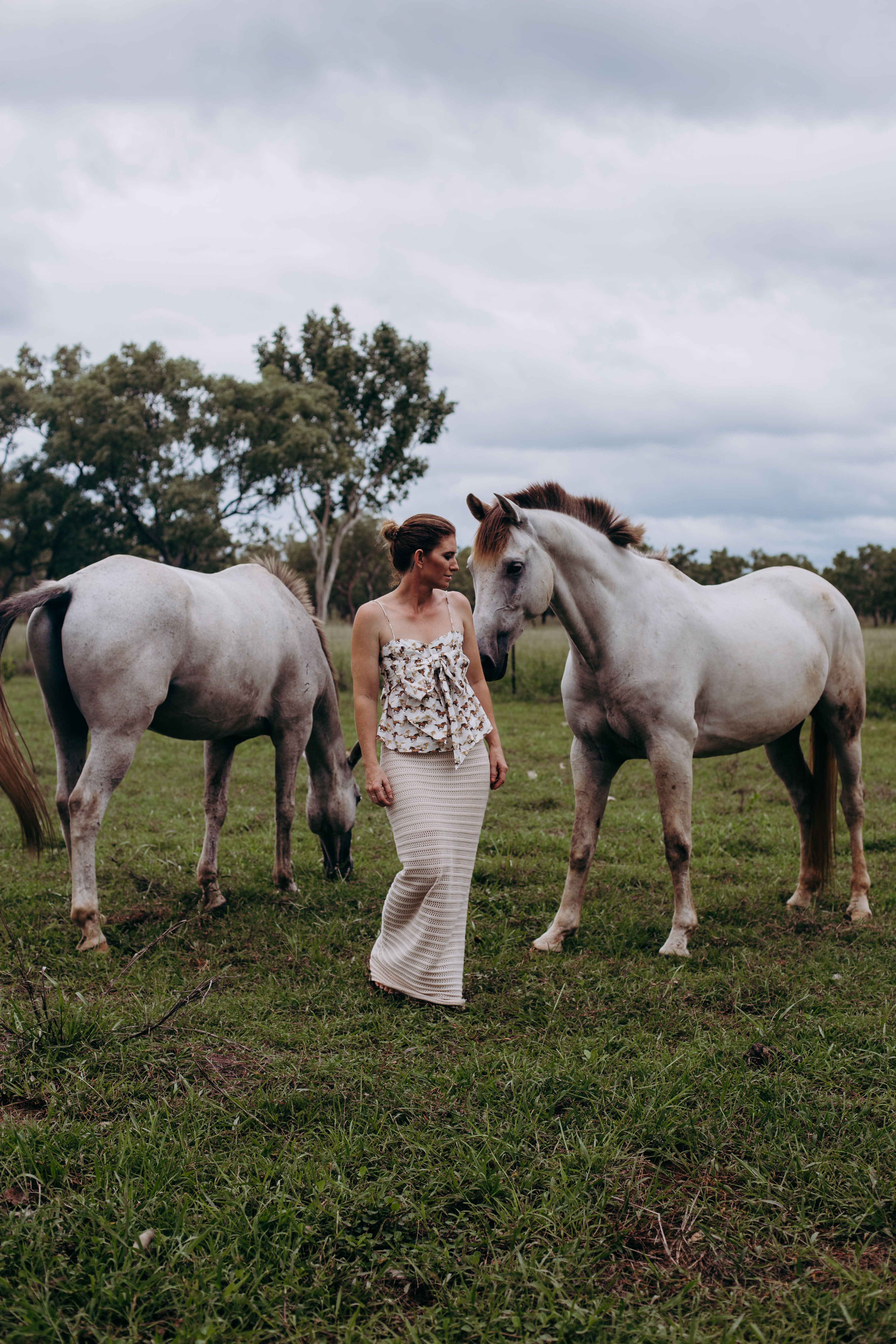 The Horse Print Edit