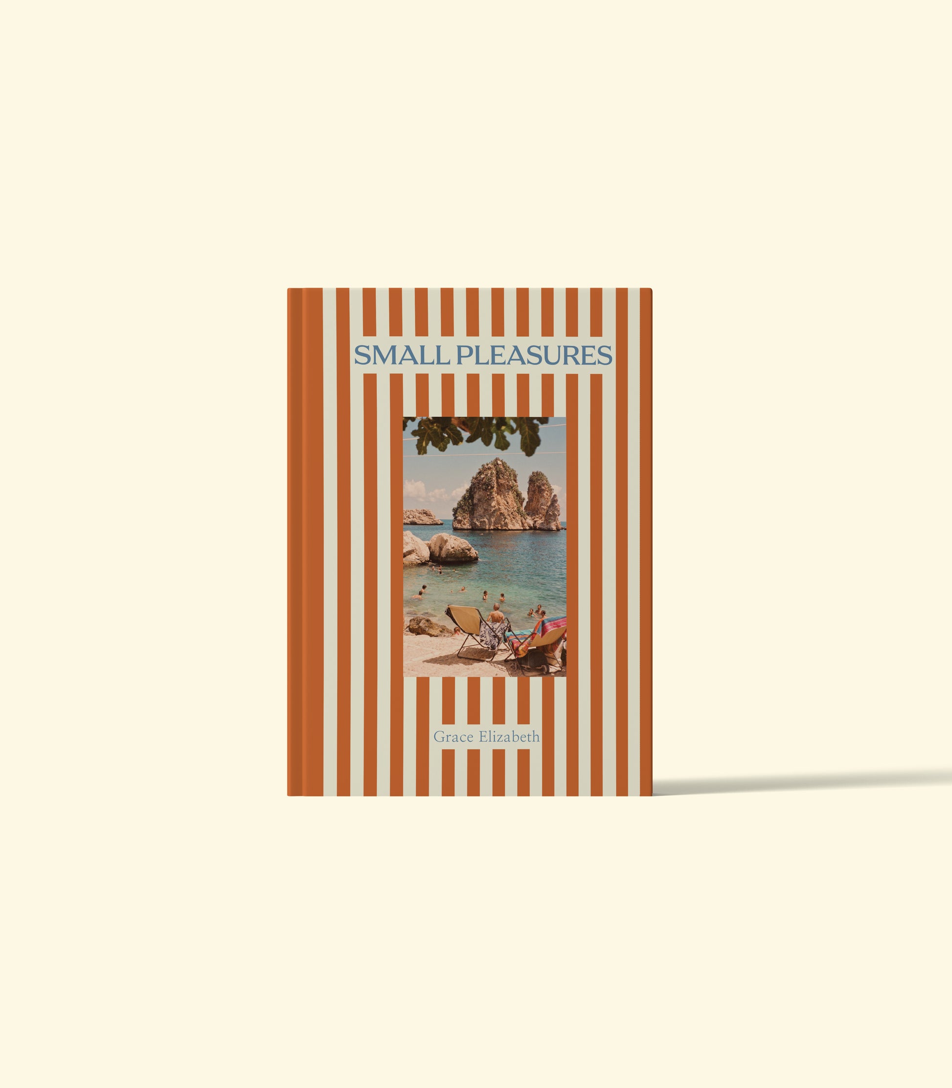 SMALL PLEASURES COFFEE TABLE BOOK