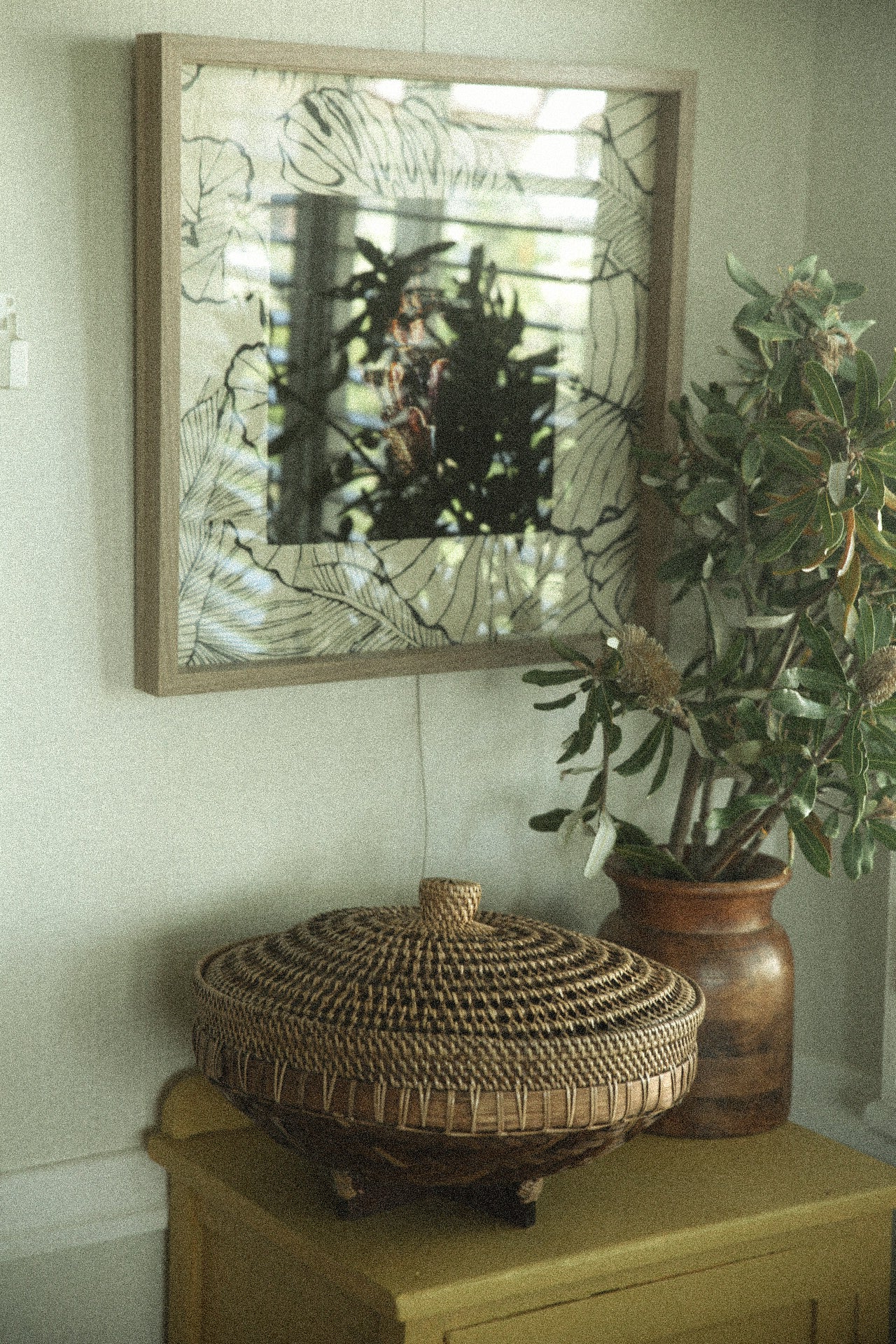 The Shell - Fine Art Print