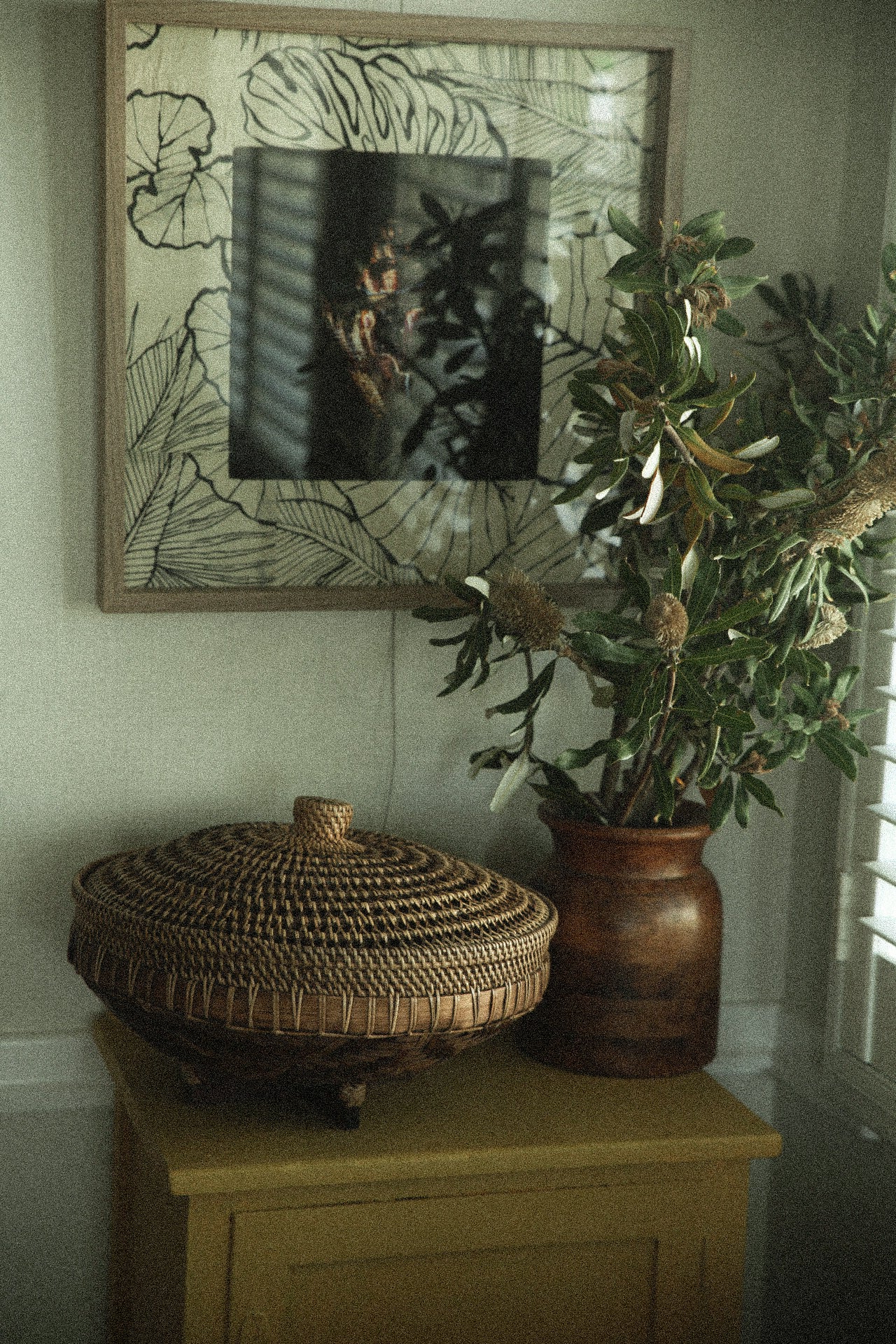 The Shell - Fine Art Print